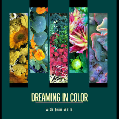 Dreaming in Color – Garden Inspiration with Jean Wells