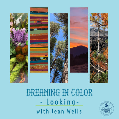 Dreaming in Color - Looking with Jean Wells