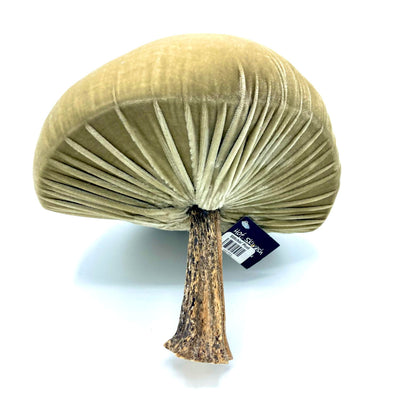 Mushroom Velvet Hot Skwash
