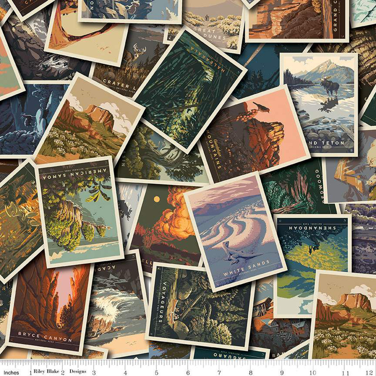 National Parks Postcard Toss by Riley Blake CD13290