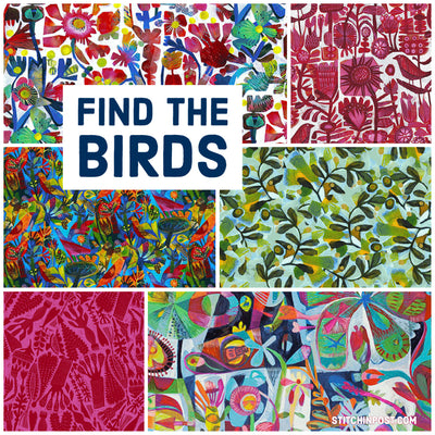 Find the Birds