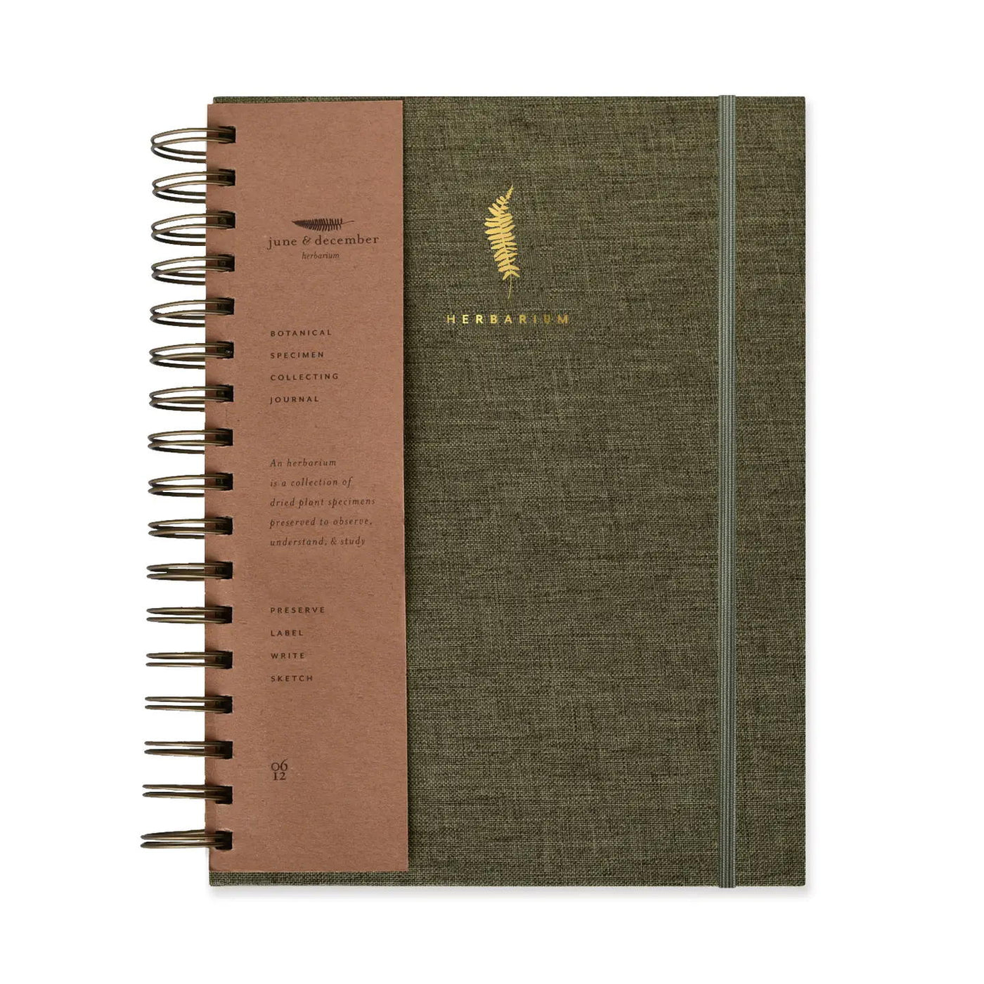 Fern Herbarium Journal Forest Green by June & December