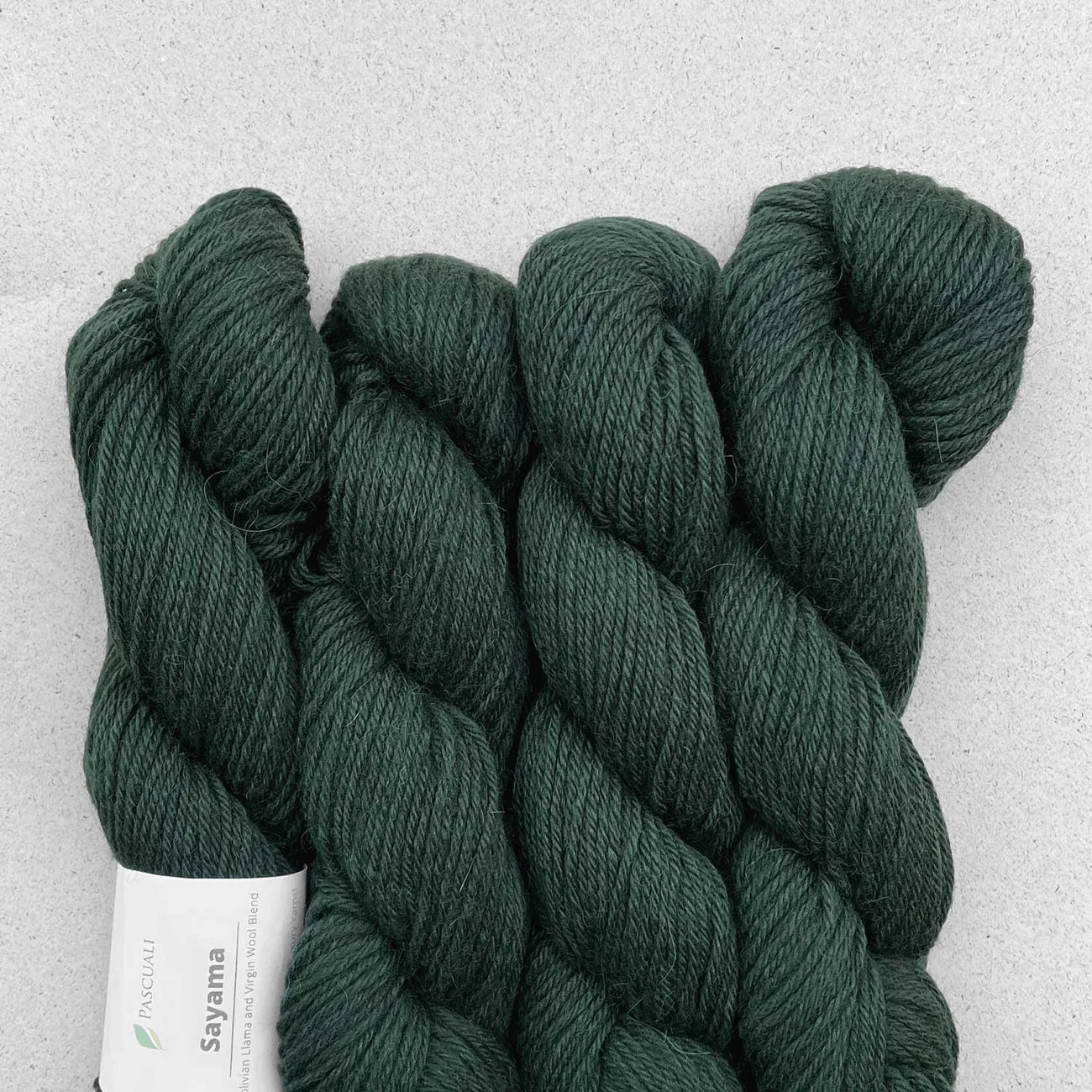 Pascuali Yarn Sayama Sea Green 317