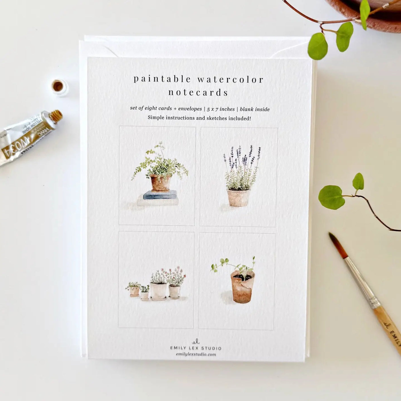 Paintable Watercolor Notecards - Potted Plants