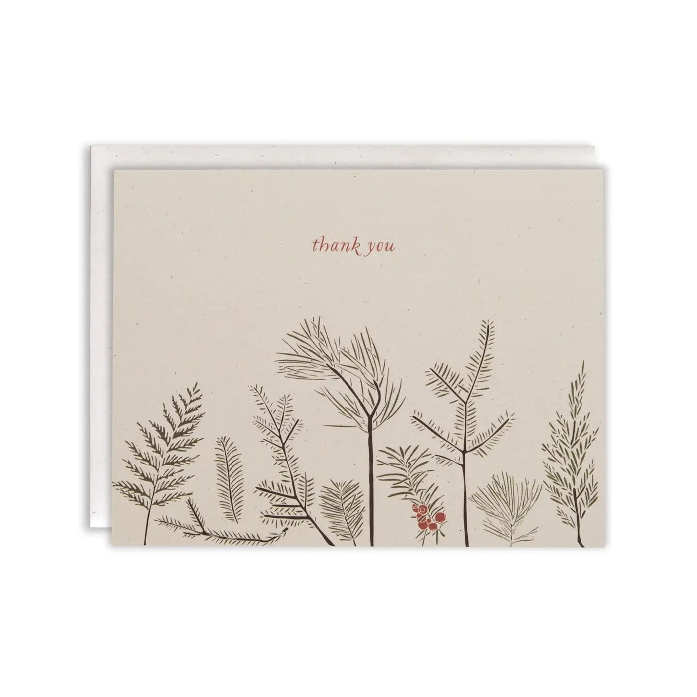 Conifers Thank You Cards by June & December