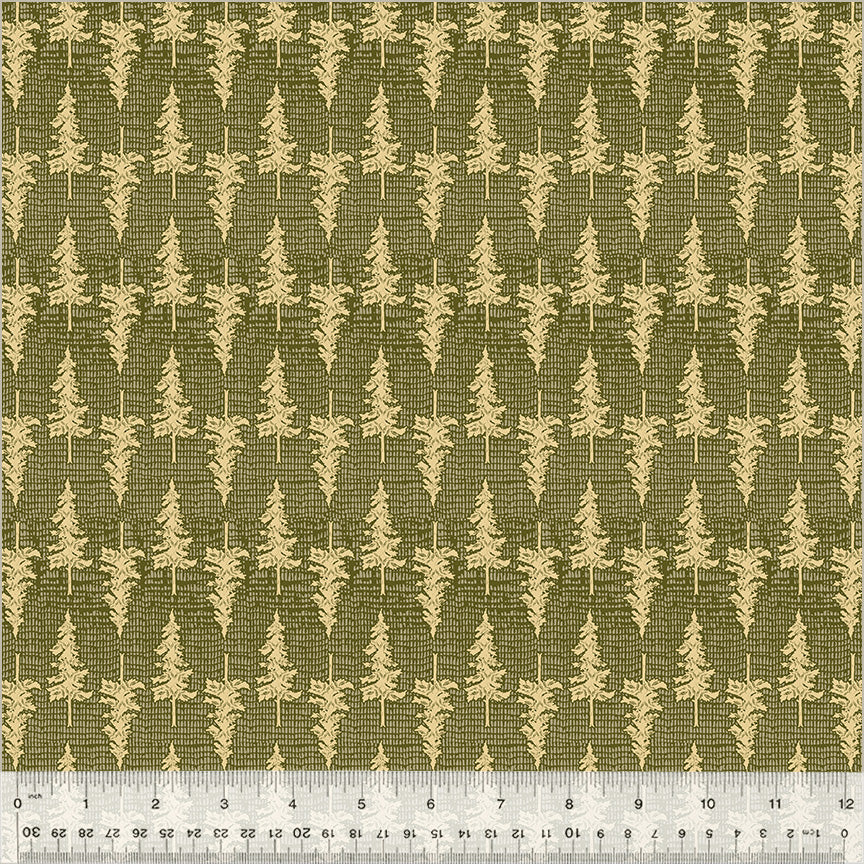 Willow Bend Ponderosa Pine 54476-5