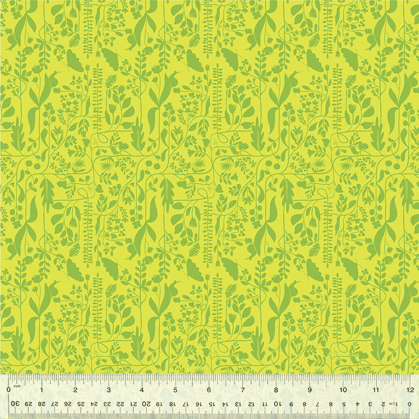 Insectarium Meander Grass 54657-15