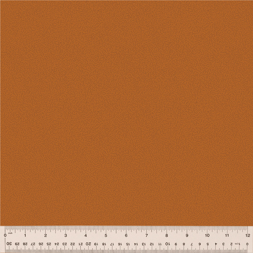 Nature Study 2.0 Pile Pumpkin 54688-22
