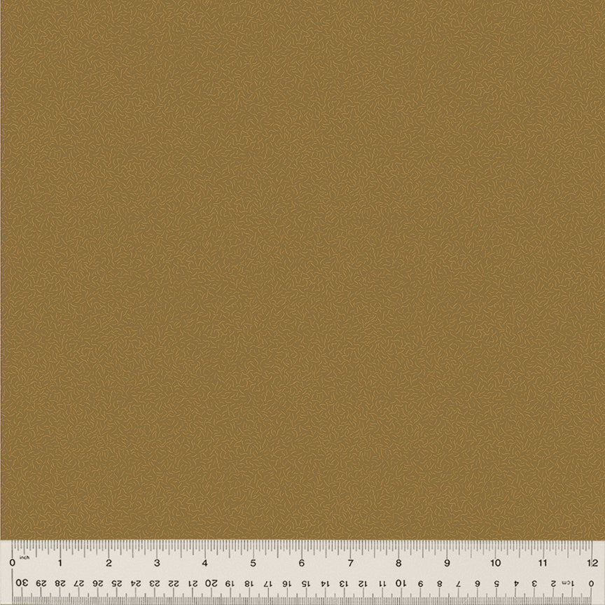 Nature Study 2.0 Pile Kelp 54688-26