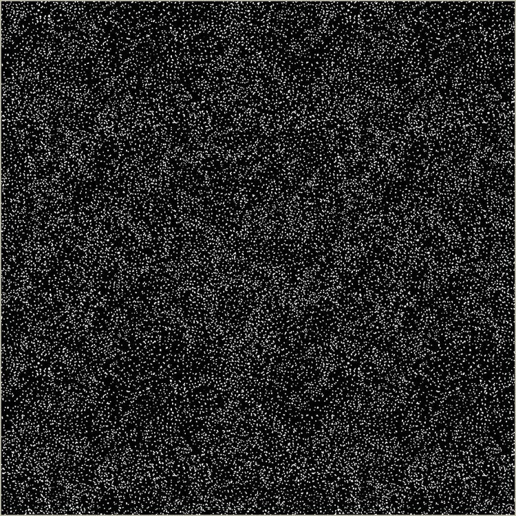 Pen & Petal Speck Black 54969-2