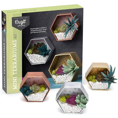 Mini Terrariums Kit