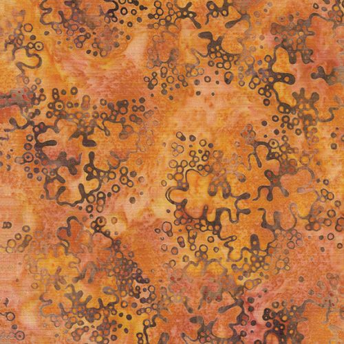 Forest Flora Lichen Multi 622404810