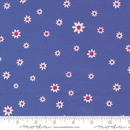 Maeve Daisy Dot Periwinkle 11938 13