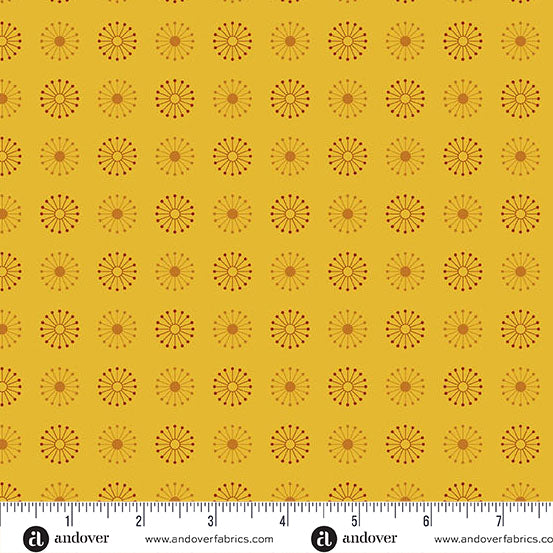 40 by Giucy Giuce Atoms Push Up Pop A-1394-Y