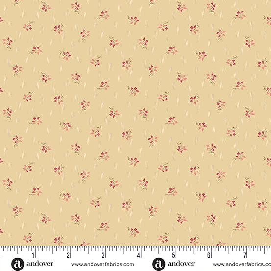 Wldflower Cottage Meadow Daffodil A-1594-N