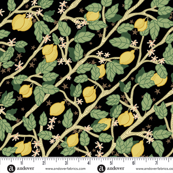 Ciao Bella By Eye Candy Quilts Limoni Black A-943-K