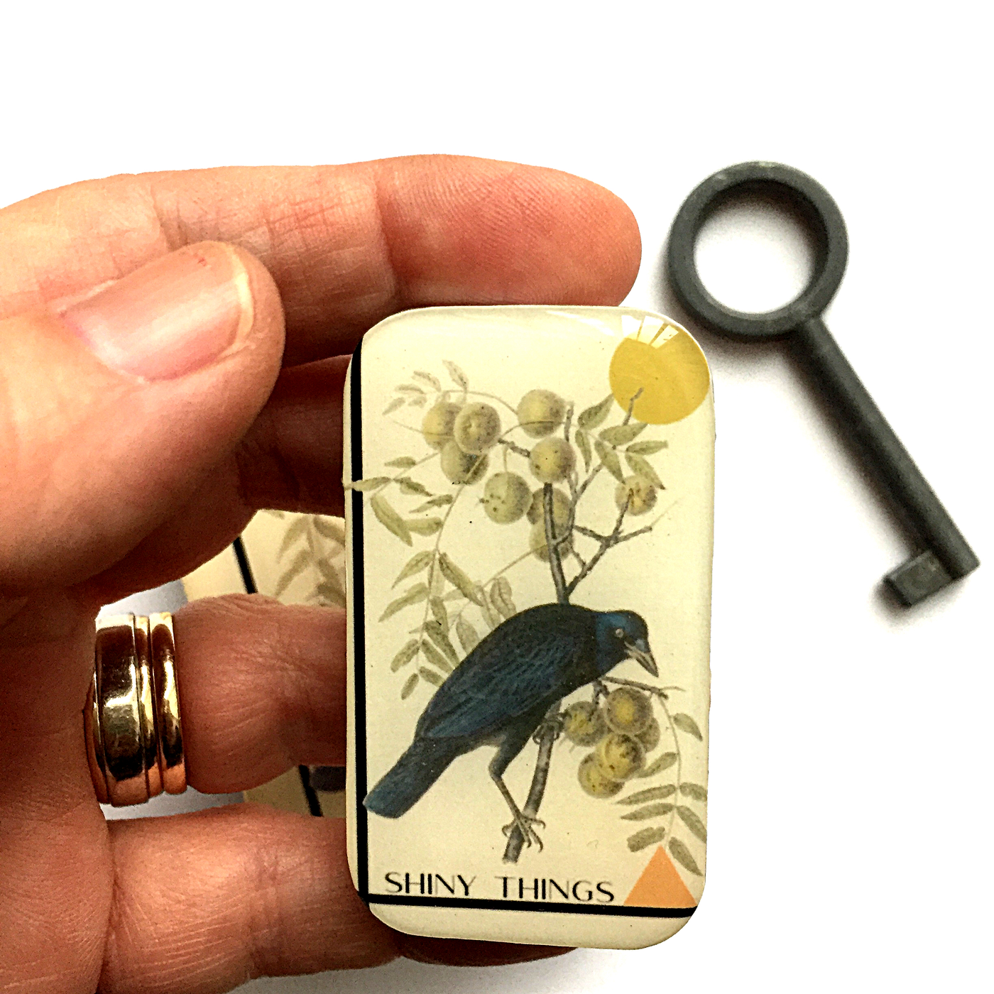 Firefly Notes - Crow Tin, Shiny Things Tin: Large