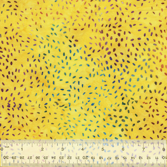 Sesame Lemon Zest 896Q-4
