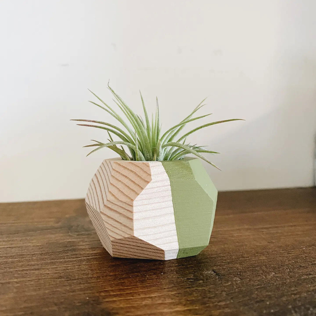 geometric air plant Small Geo Air Plant Holder – Stitchin' Post