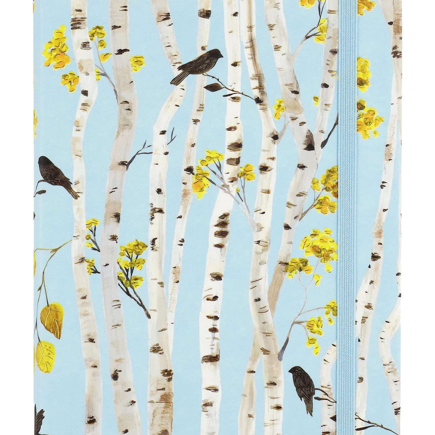 Birch Woods Journal