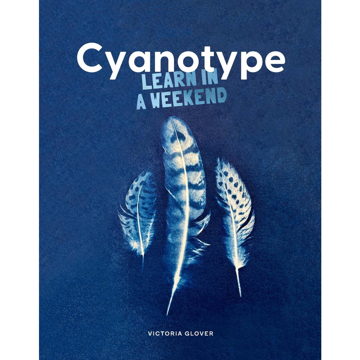 Cyanotype Learn in a Weekend