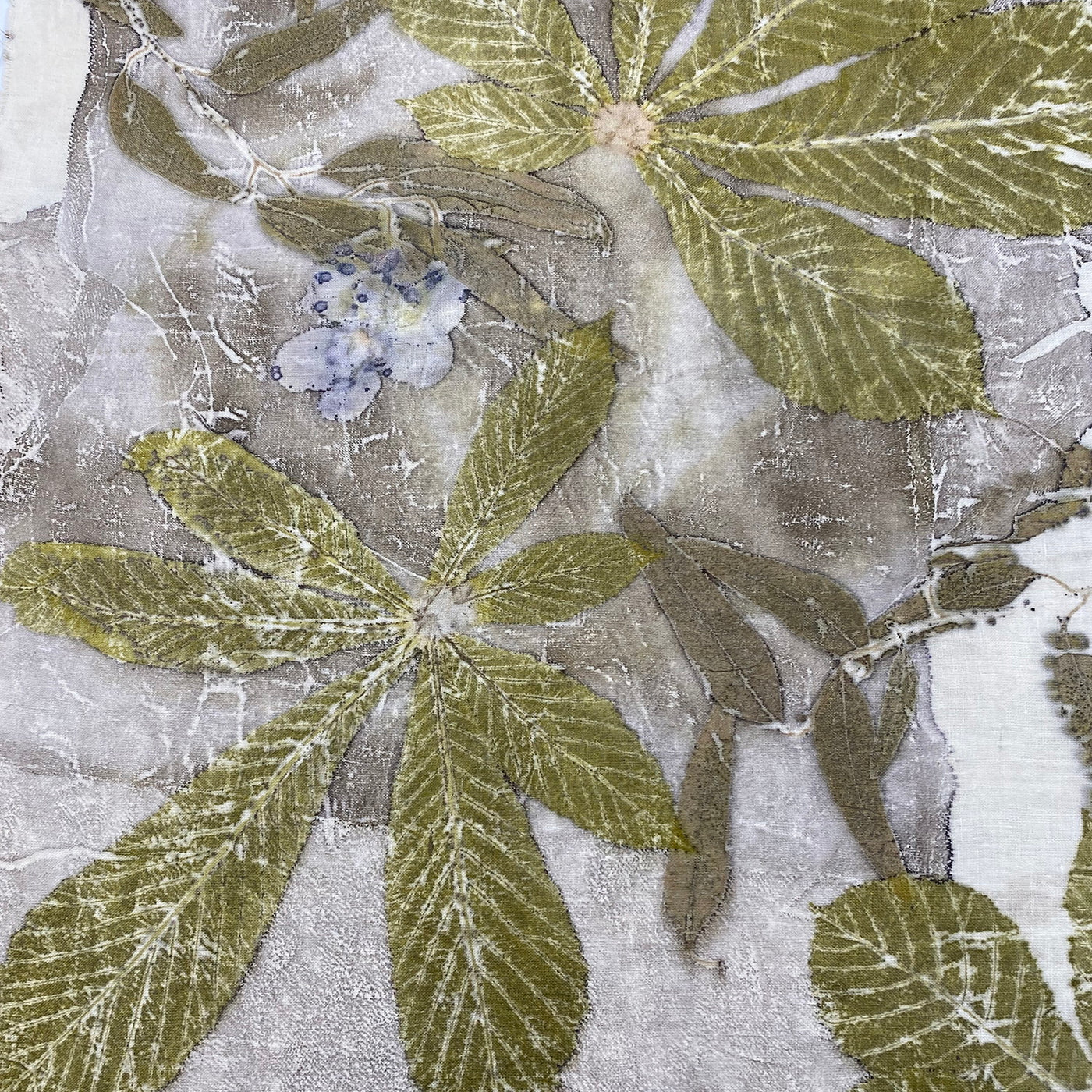 Intro to Eco Printing with Belinda Batchelder on 9/13/2025