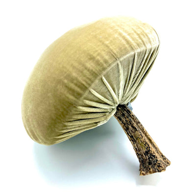Mushroom Velvet Hot Skwash