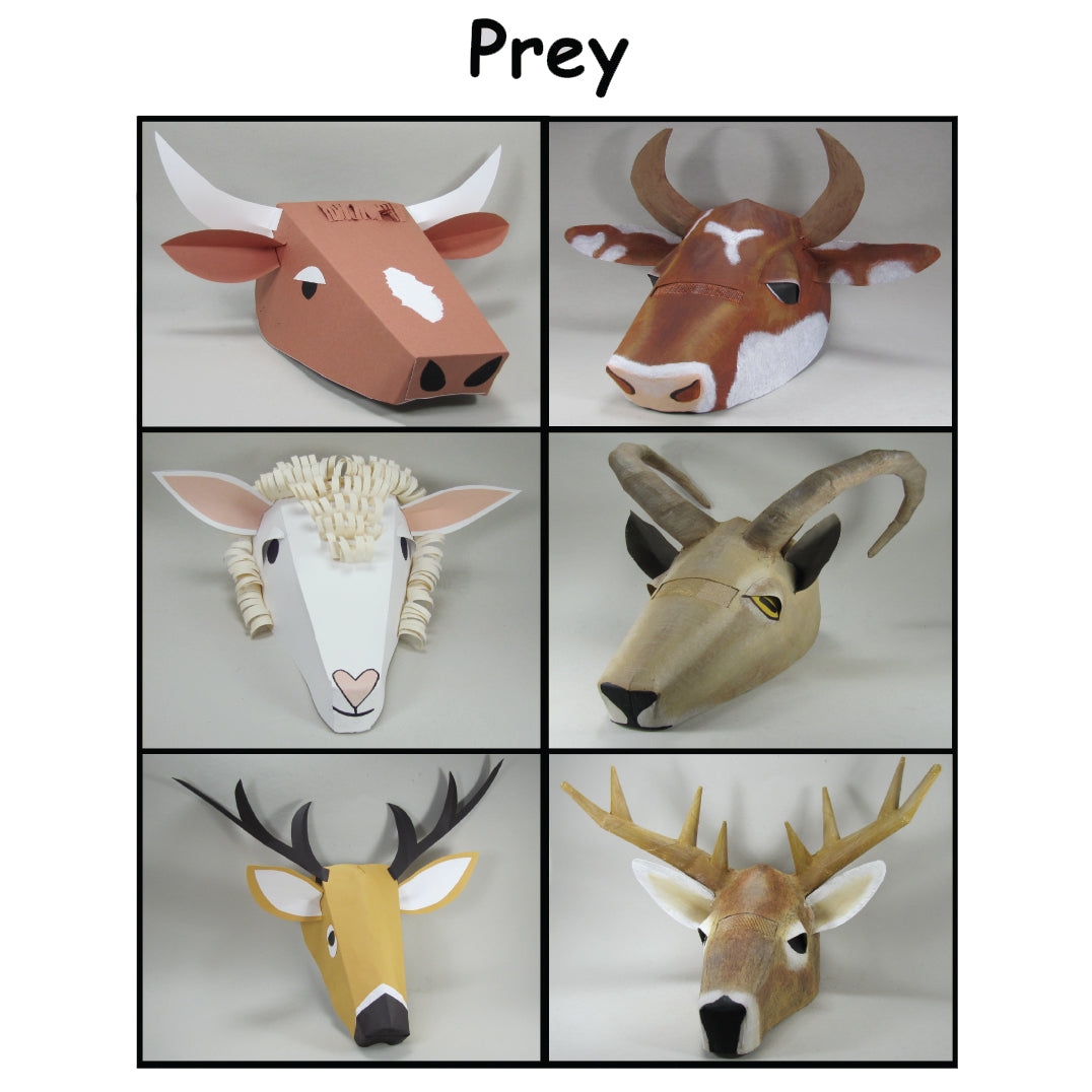 Animal Mask Making Book