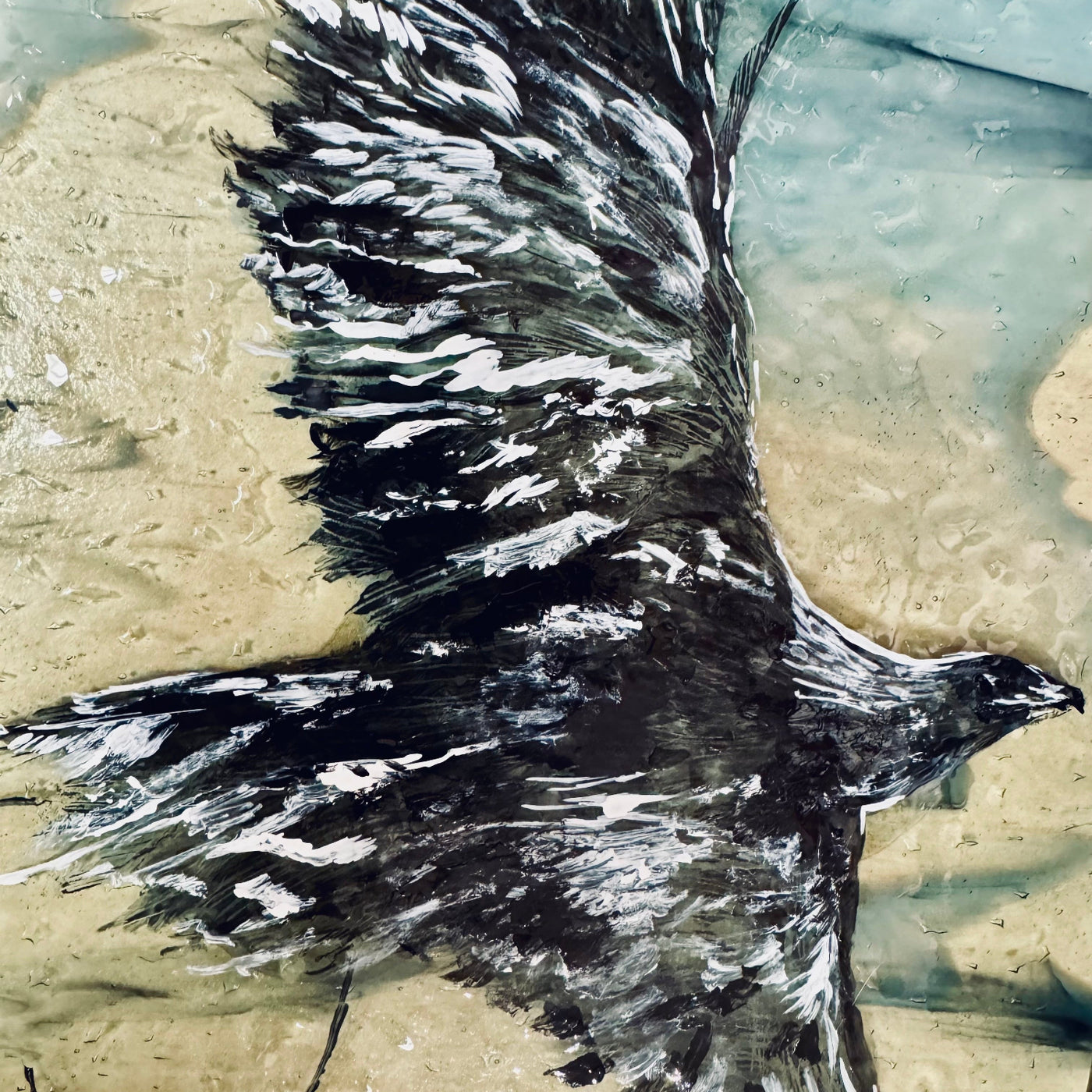 A Raven in Fused Glass with Susie Zeitner on 9/27/25