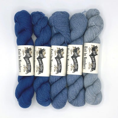 Glittering Snowscape Shawl Knit-a-Long with Nancy Hamilton (video only) on 10/24 & 31, 11/7, 14 & 21 & 12/5 & 12/2025