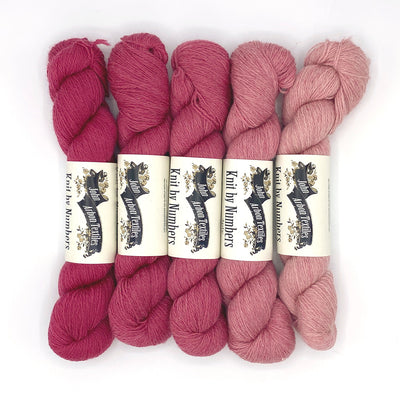 Glittering Snowscape Shawl Knit-a-Long with Nancy Hamilton (video only) on 10/24 & 31, 11/7, 14 & 21 & 12/5 & 12/2025