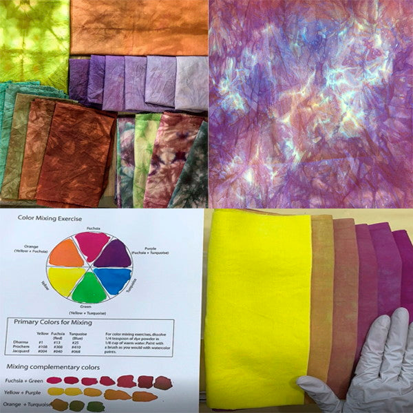 301 - 401 Color Exploration with Lynn Koolish on 7/10 - 7/11/2024