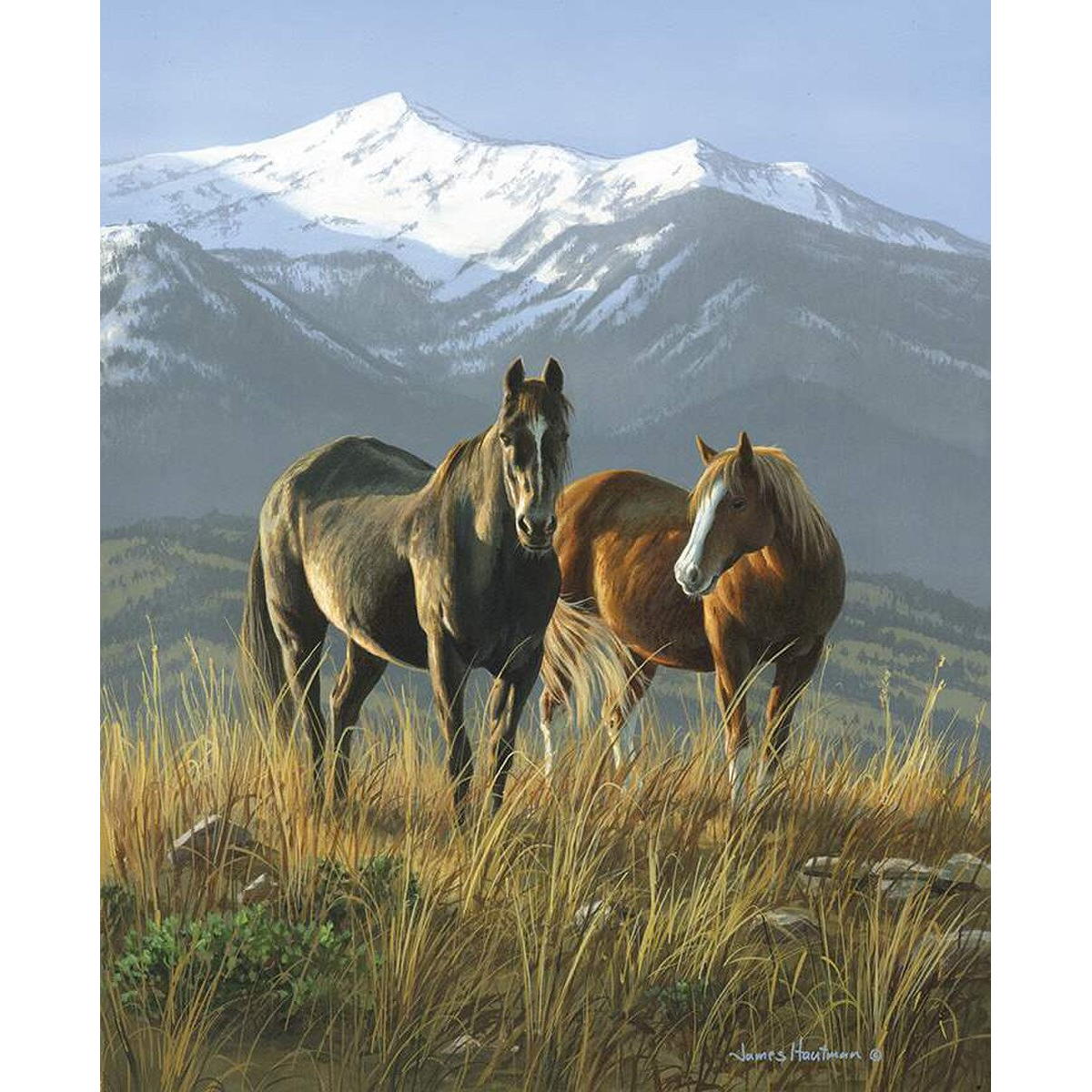 Wild Horses Smoky Panel PD15530