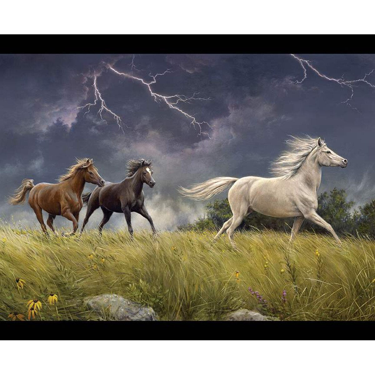 Wild Horses Storm Panel PD15534