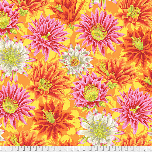 Kaffe Fassett Collective Cactus Flower Yellow PWPJ096.YELLOW