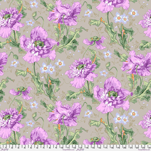 Kaffe Fassett Collective Papaver Grey PWPJ127.GREY