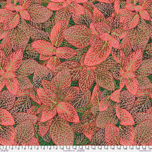 Kaffe Fasett Collective Fittonia Red PWPJ129.RED