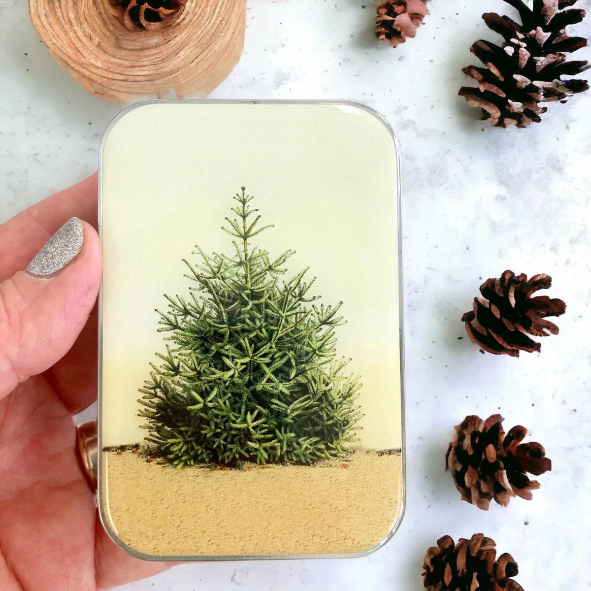 Firefly Notes - Pine Tree stitch marker tin: Large