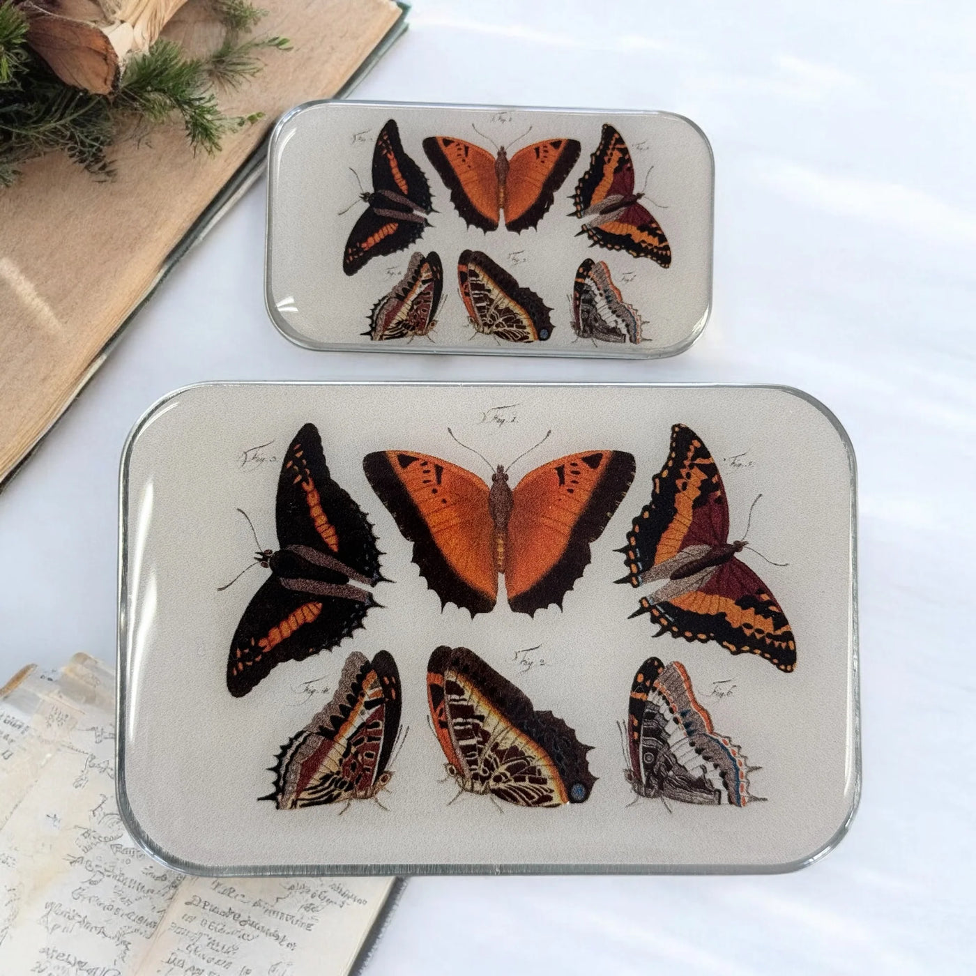 Firefly Notes - Orange Butterflies Stitch Marker Tin: Large