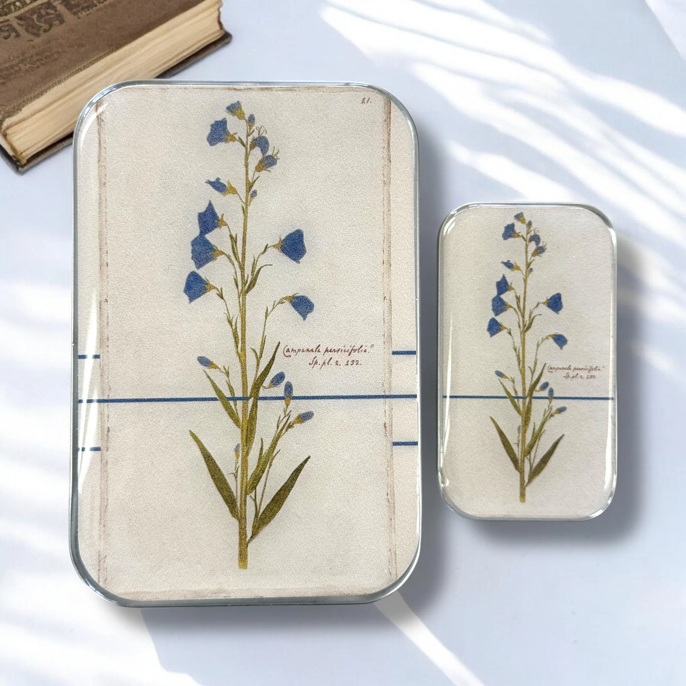 Firefly Notes - Bellflower Notions Stitch Marker Tin: Small