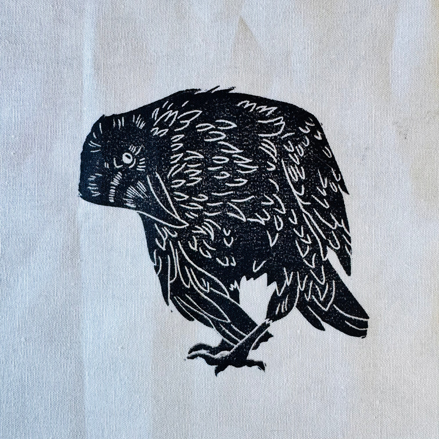 The Crow Commissions - Original Block Prints from Valori Wells