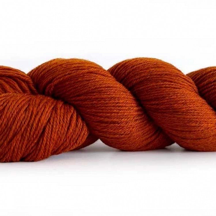 Pascuali Yarn Cheeky Merino Joy Hazelnut 266