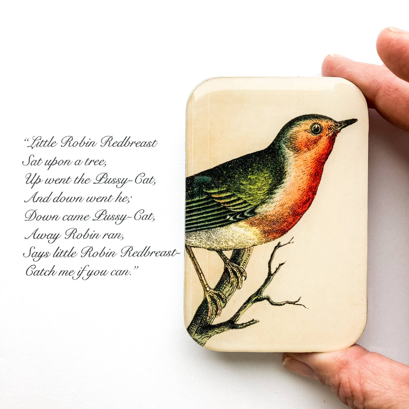 Firefly Notes - Robin Notions tin: Large