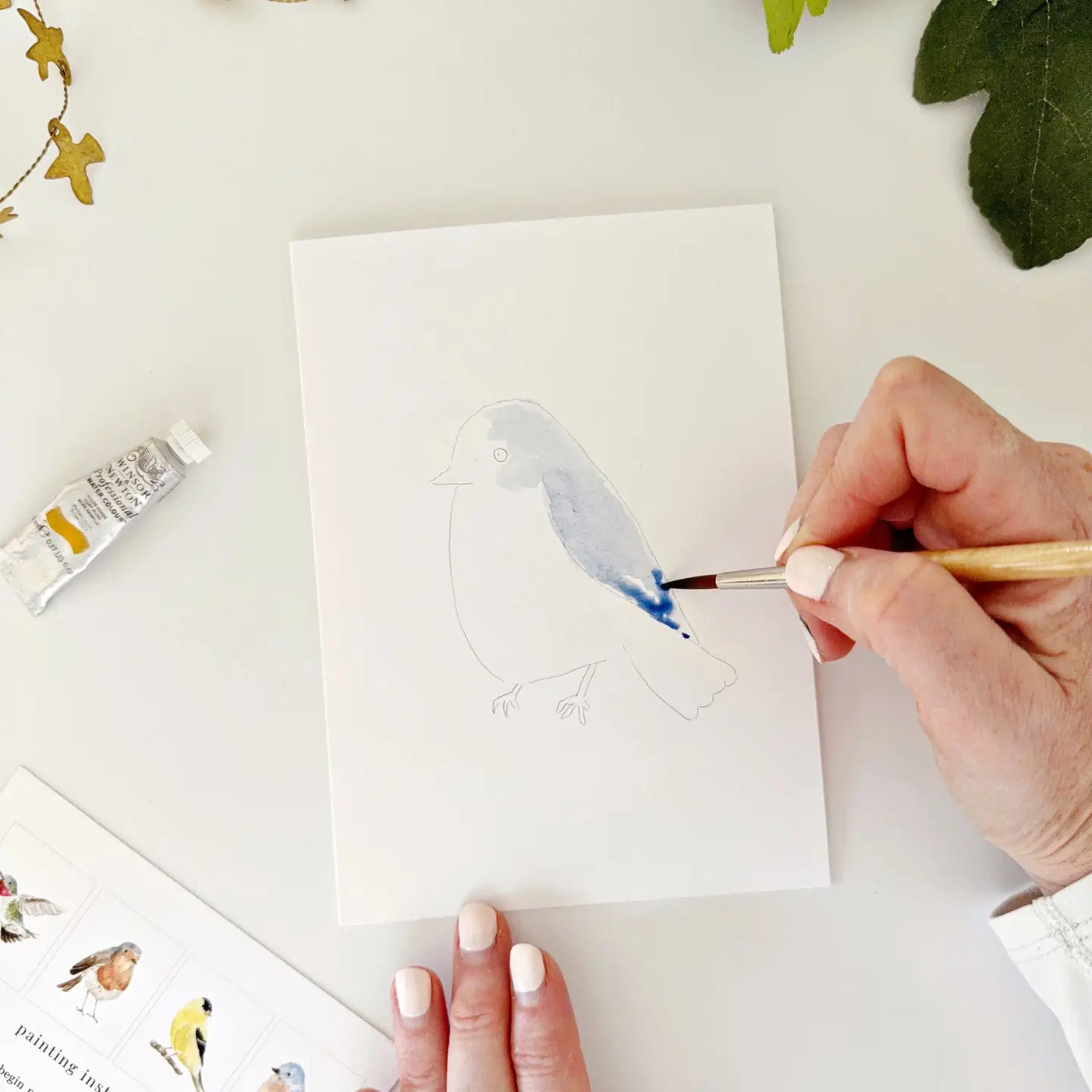 Paintable Watercolor Notecards - Backyard Birds