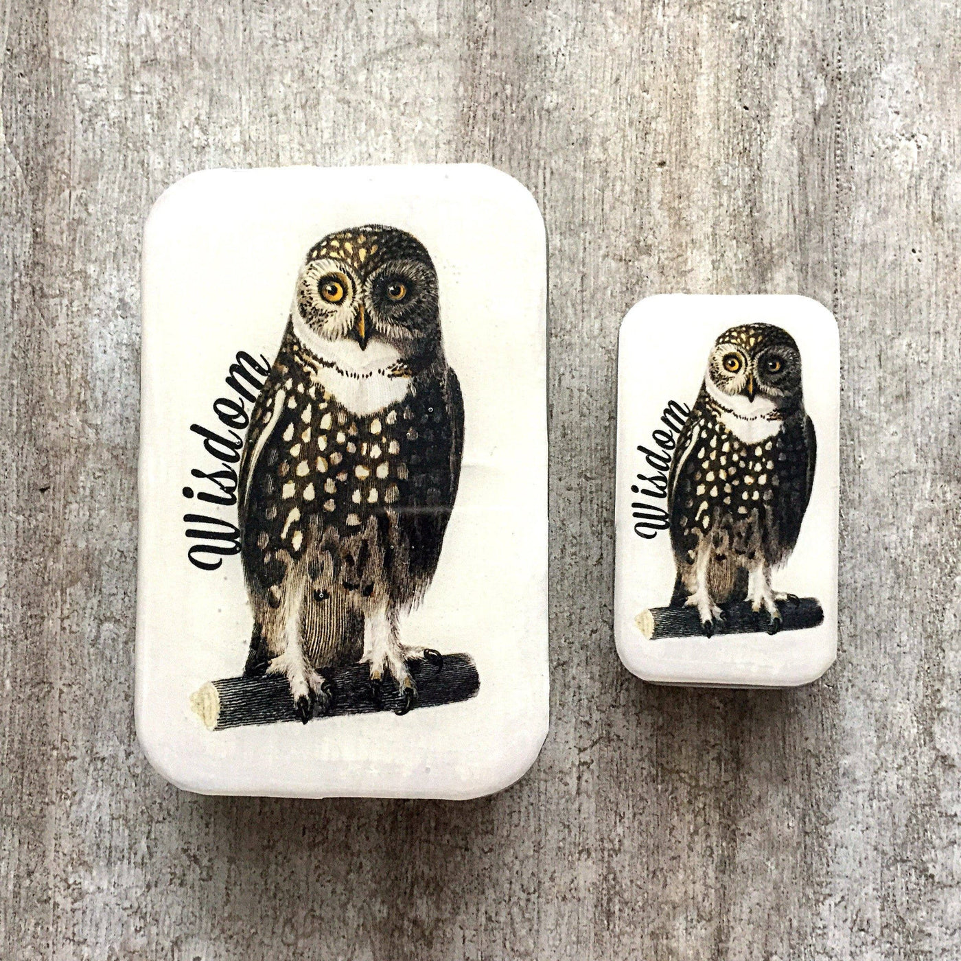 Firefly Notes - Wise Owl Tin: Small