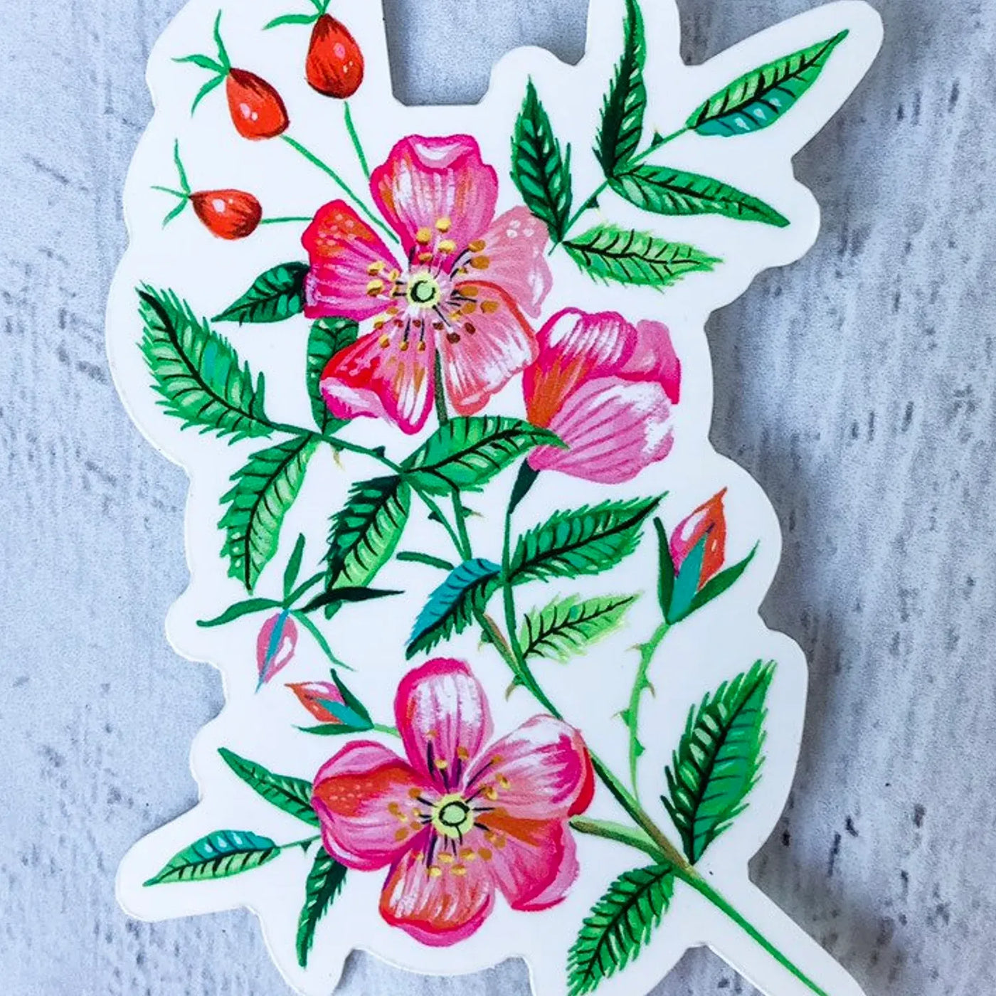 Katie Daisy Wild Rose Sticker