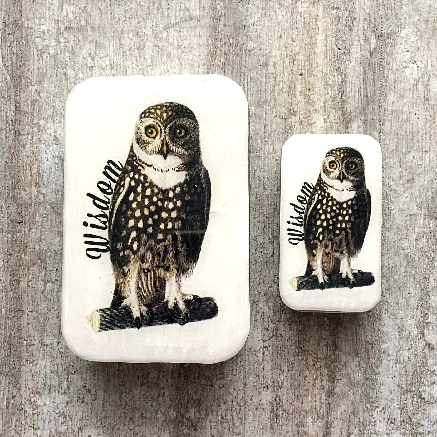 Firefly Notes -Wise Owl, Knitting Notions Tin: Large