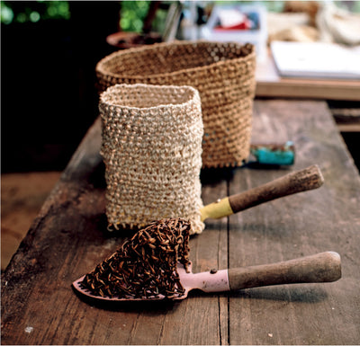 Wild Textiles Grown, Foraged, Found Book by Alice Fox