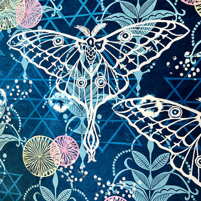 Midnight Moth by Valori Wells