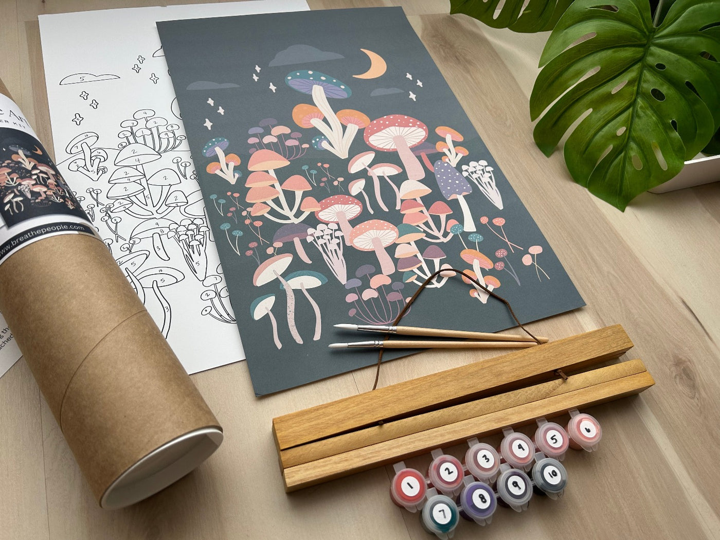 Night Mushrooms Meditative Art Paint-by-Number Kit